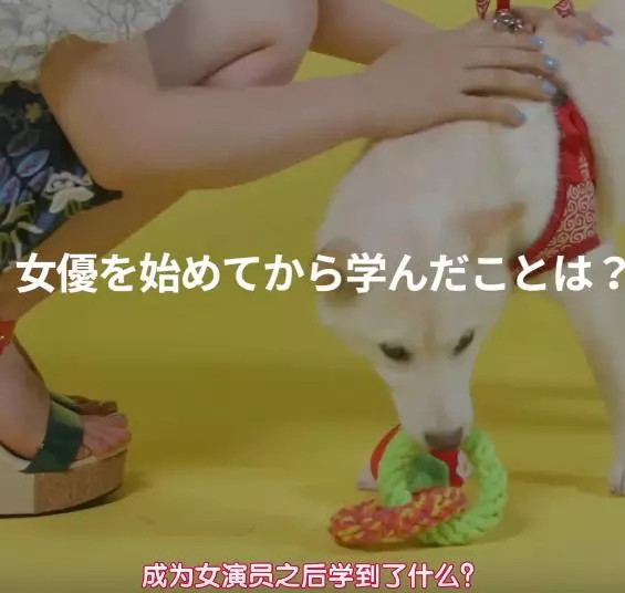 橋本環奈自稱拍完《銀魂》,發現全新的自己,粉絲:老婆胖成球!