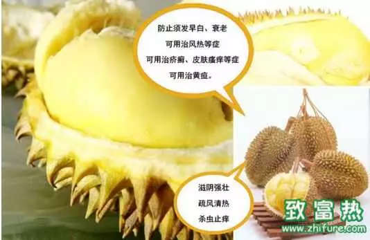 榴槤是買大的好還是買小的好?