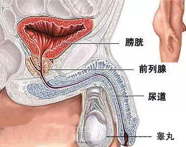 按摩膀胱經能治癒13種病,你知道嗎?