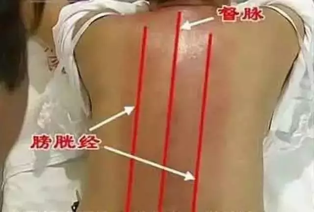 按摩膀胱經能治癒13種病,你知道嗎?