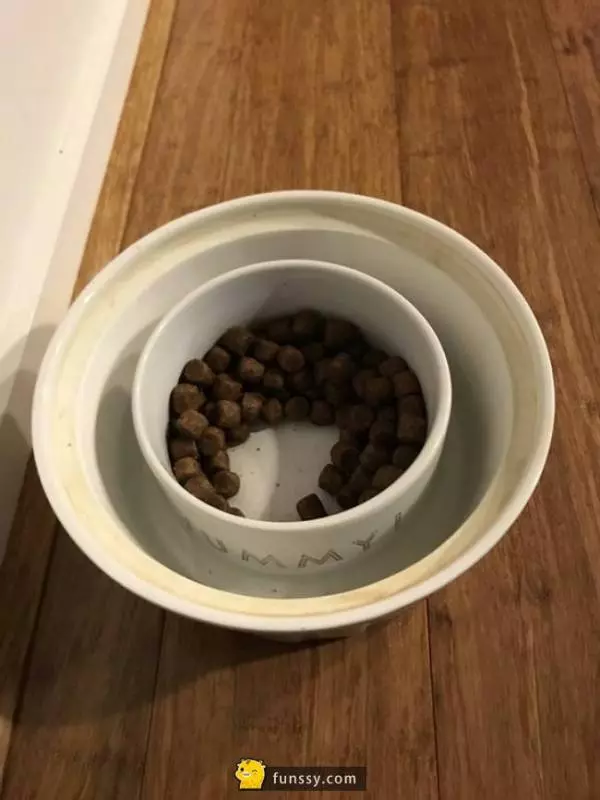 25個學起來會讓你的生活變得簡單多的超bug生活小技巧