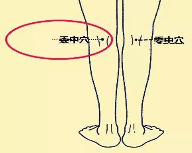 後腰痛,腿堵塞,拉一拉腿關節,疏通經絡,腰不痛了,還越來越好
