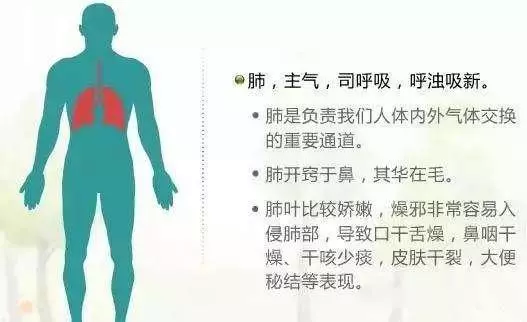 七竅連五臟,七竅變化可以預知重大疾病!