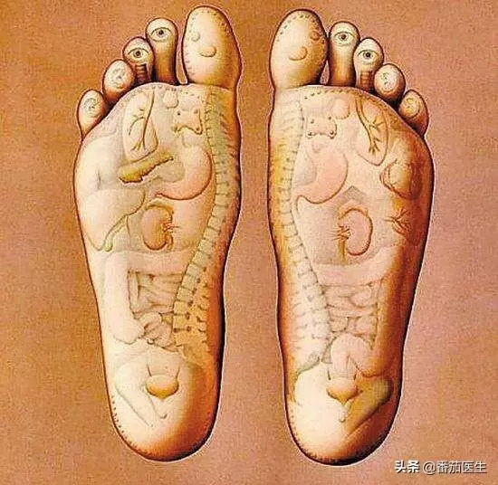 人體黃金三角和健康的關係!