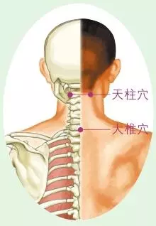 脖子酸痛像針扎,一轉咔咔響,中醫:按按這一穴,脖子好輕鬆