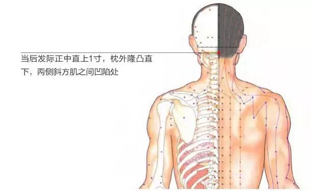 睡前5分鐘按揉這3個穴位,消除疲勞,疏通經絡、輕鬆改善頸椎病