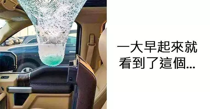 「上天總是怕你活得太無聊」的18張日常驚奇照