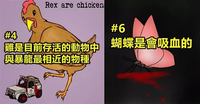 18件關於動物的奇妙事實