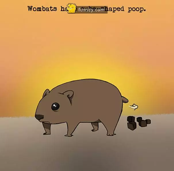 18件關於動物的奇妙事實