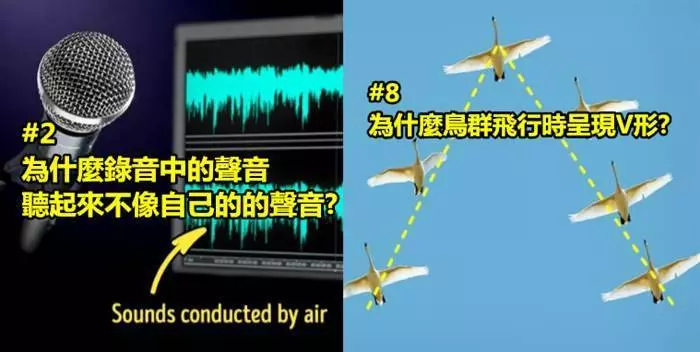 19個很多人都超好奇但都懶惰谷歌的超有趣問題!