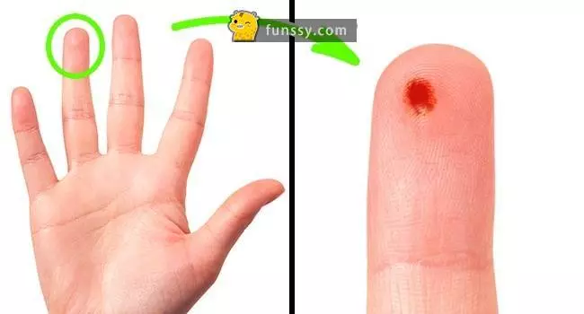19個很多人都超好奇但都懶惰谷歌的超有趣問題!
