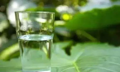老中醫告訴你:水是最便宜的藥!請記住這個喝水法,大病小病遠離你