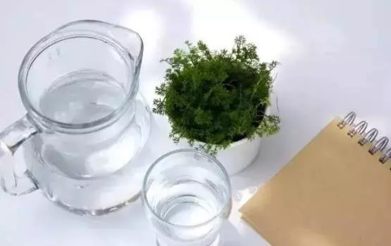 老中醫告訴你:水是最便宜的藥!請記住這個喝水法,大病小病遠離你