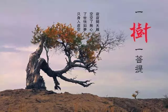 醫院的三句話,銀行的三句話,專家的三句話,不看後悔
