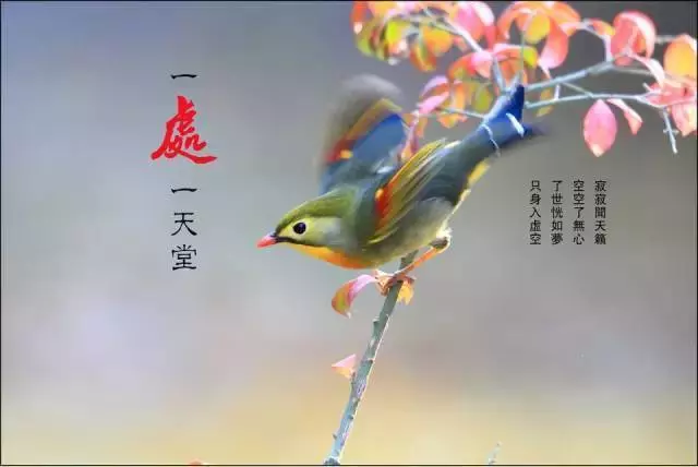 醫院的三句話,銀行的三句話,專家的三句話,不看後悔