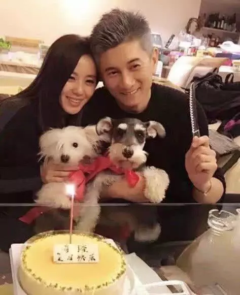 消失5天後吳奇隆突然更博,粉絲刷屏祝福:小辛巴,想寶寶