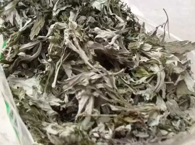 艾草是個寶,可惜很少人知道怎麼用...藥用價值: 艾草全草可入藥介紹