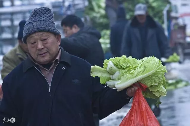 兒子事業成功回家看爹娘,老爹出去買菜,兒卻無意看到娘遺像