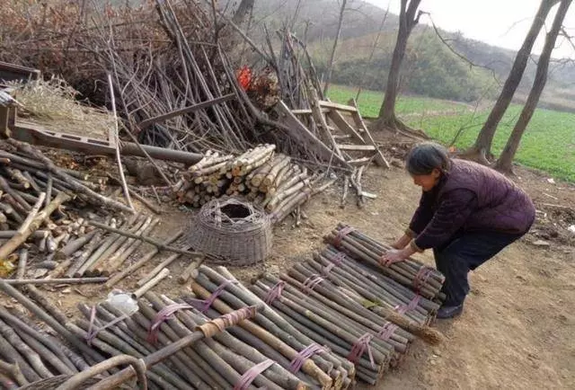 老母親去世,8個兒子回來爭家產,最小孫子親奶奶一口,大家蒙了