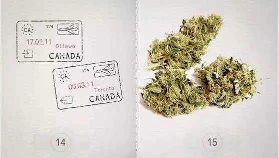 華人最愛的東西都不能帶上飛機!大麻卻可以...