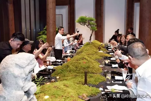 盆景——馬雲私宴上的常客