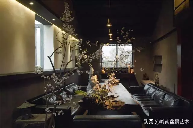 盆景——馬雲私宴上的常客