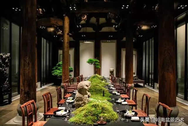 盆景——馬雲私宴上的常客