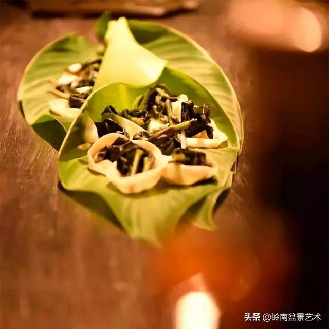 盆景——馬雲私宴上的常客