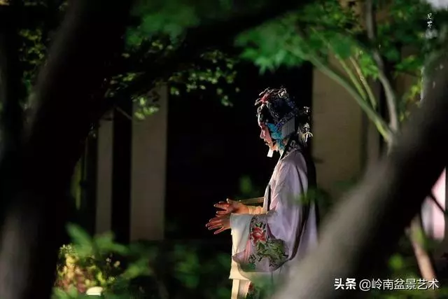 盆景——馬雲私宴上的常客