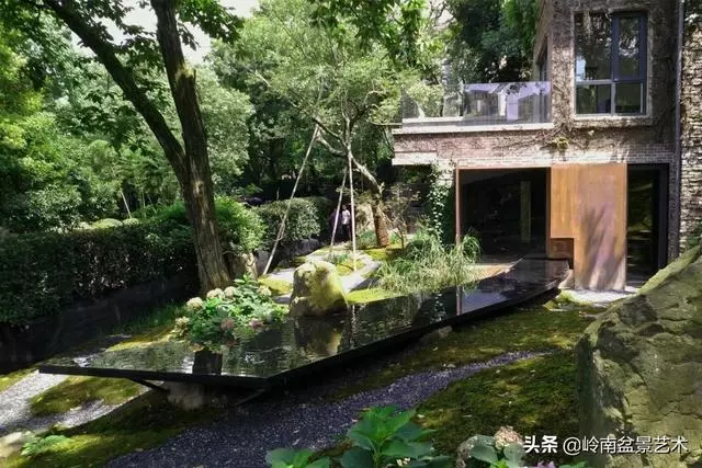 盆景——馬雲私宴上的常客