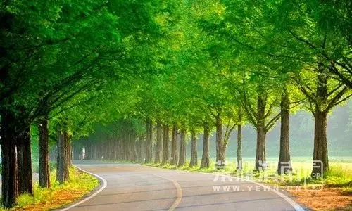 做人要有誠信:再窮,不要欠錢玩消失,再難,不要說話不算數。