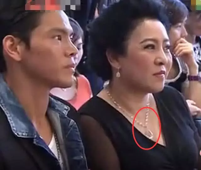 向佐與媽媽出席高檔活動,得知向太脖子裡項鍊的價錢,網友:天價!