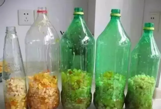 用這個方法漚花肥,花繁葉茂,而且一點也不臭!