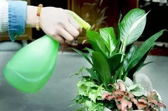 用這個方法漚花肥,花繁葉茂,而且一點也不臭!