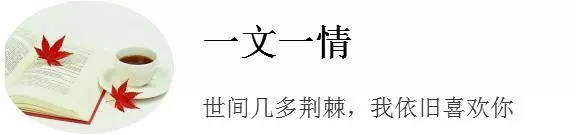 你不懂我,其實我會怪你