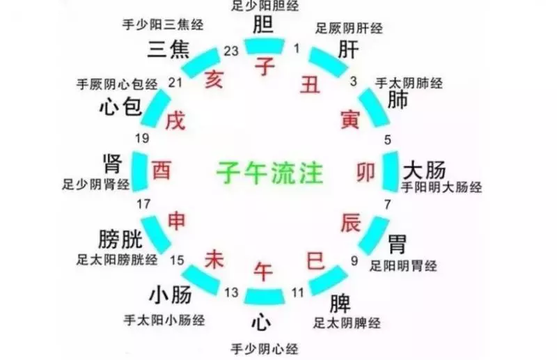 中醫養生:人體『最佳的』洗澡、睡覺、吃水果、美容時間... 效果比平常好上 20 倍!