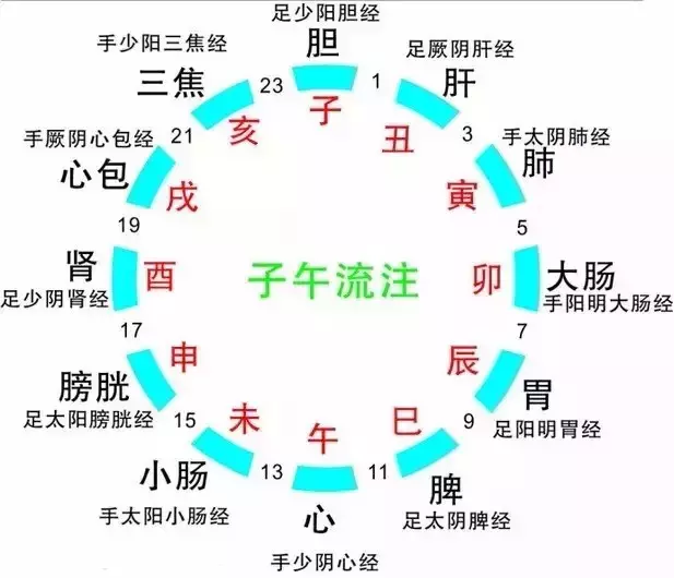 中醫養生:人體『最佳的』洗澡、睡覺、吃水果、美容時間... 效果比平常好上 20 倍!