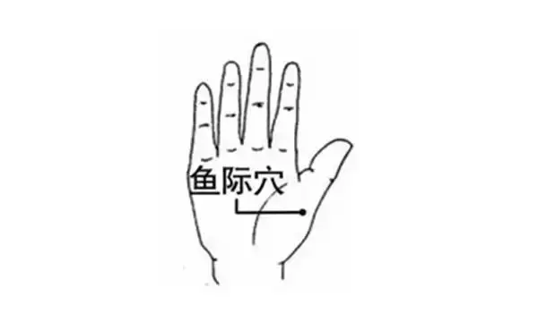 【按摩手掌可保健康】
