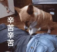 年紀輕輕就腰疼,快來試試這幾招吧!
