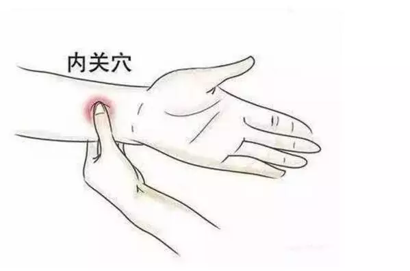 內關穴:增強心臟無氧代謝,調整心律、腦、胃腸病"三項全能"!