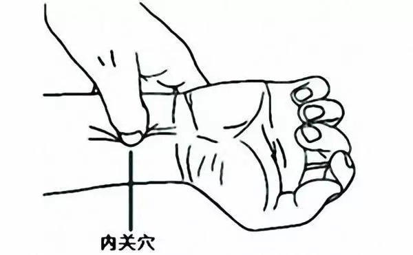 內關穴:增強心臟無氧代謝,調整心律、腦、胃腸病"三項全能"!
