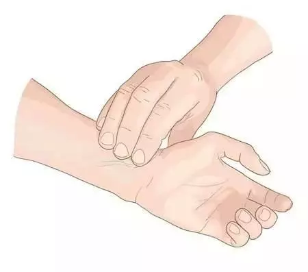 內關穴:增強心臟無氧代謝,調整心律、腦、胃腸病"三項全能"!
