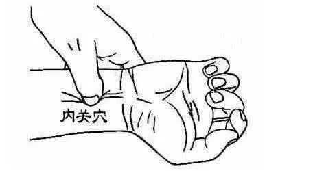 內關穴:增強心臟無氧代謝,調整心律、腦、胃腸病"三項全能"!