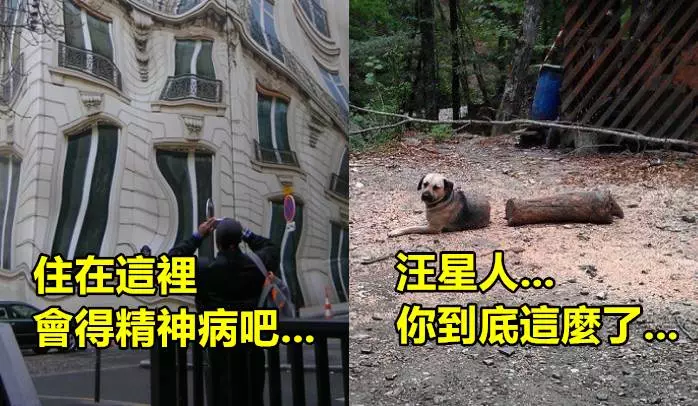 「15張有看沒懂,看了更困惑的照片」 #4是傳說中阿拉丁的魔毯?