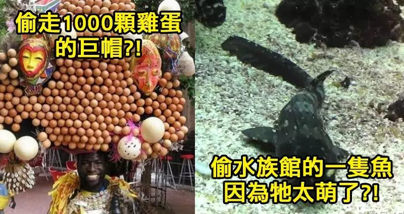 史上7宗「詭譎到警方都哭笑不得」奇葩偷竊案。#1「一座橋」都能偷走、#2偷「套套販賣機」到底是多缺?!