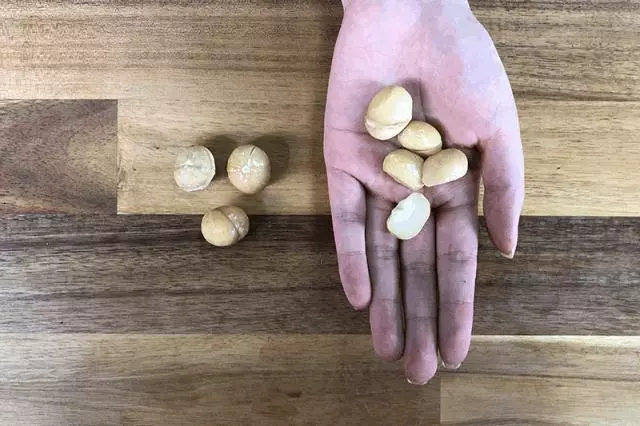 98%的人都吃錯了堅果,還有1%吃的連堅果都不算