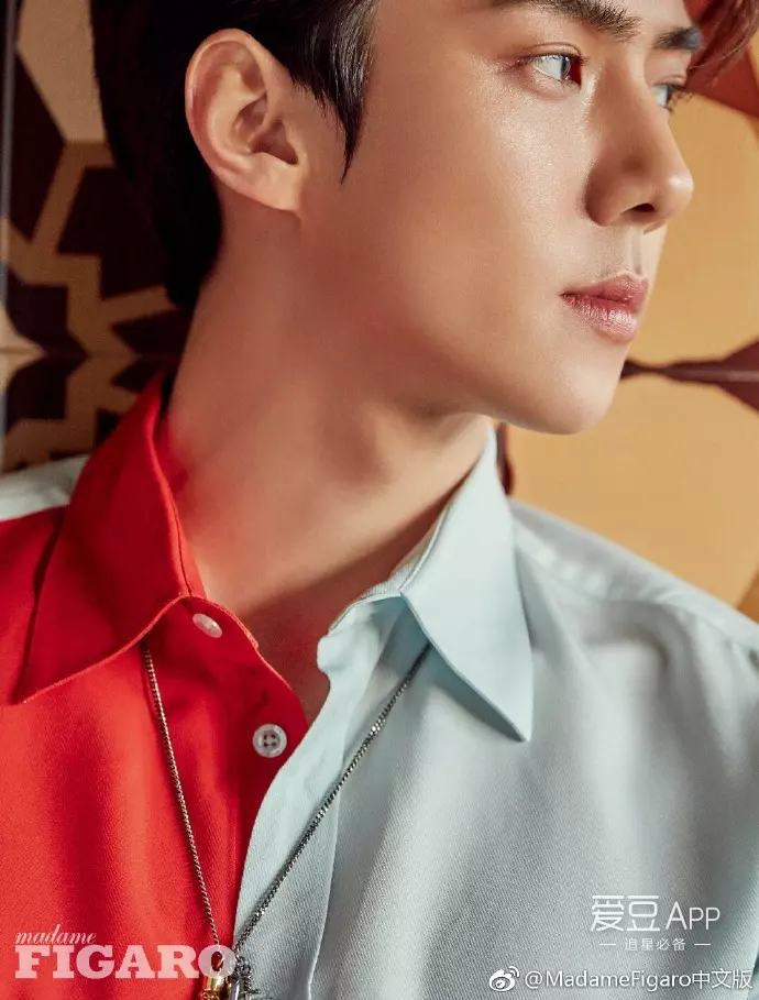 [EXO][新聞]190311 費加羅對話世勳， 精彩大片終版來襲！