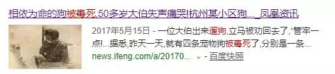 可以不愛,但請不要傷害,毒死寵物狗是要負法律責任的