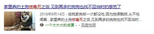 可以不愛,但請不要傷害,毒死寵物狗是要負法律責任的