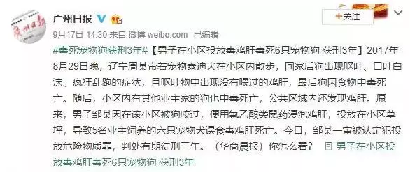 可以不愛,但請不要傷害,毒死寵物狗是要負法律責任的